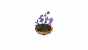 WoW: Silbermond-Fraktion: <a class="posRel pe-4" href="https://www.wowhead.com/de/decor/sanft-schwebender-blumentopf-14995"><strong>Sanft schwebender Blumentopf</strong><span class="icon extLinkIcon posAbs"></span></a>
