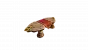 WoW: Silbermond-Fraktion: <a class="posRel pe-4" href="https://www.wowhead.com/de/decor/pr%C3%A4chtiger-lichtholztisch-15059"><strong>Prächtiger Lichtholztisch</strong><span class="icon extLinkIcon posAbs"></span></a>