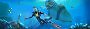 Subnautica und viele andere Meeresspiele gibt es bei Steam derzeit zum Schnäppchenpreis.