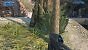Bäume im Remaster (Anniversary Edition)