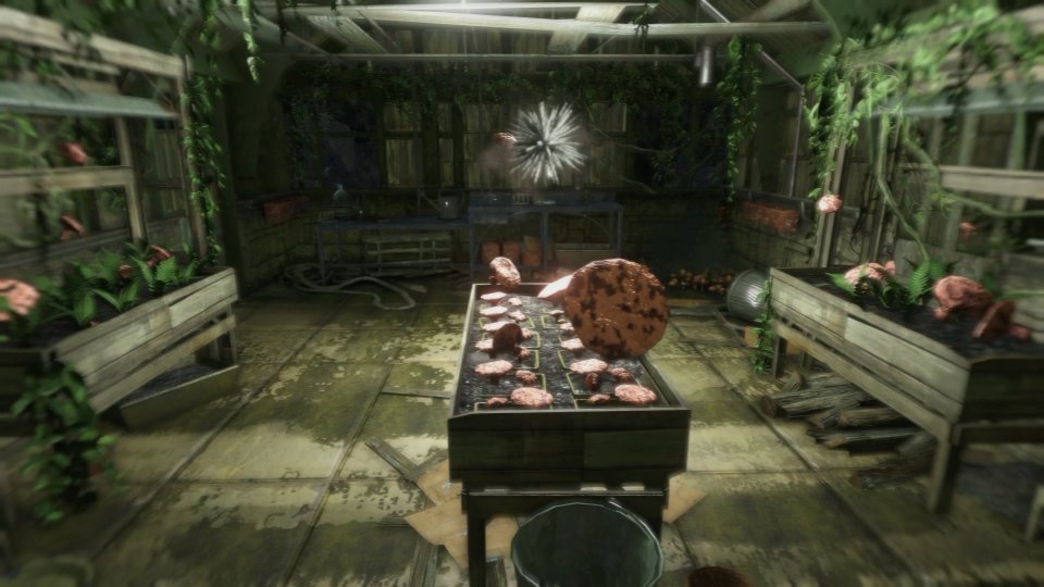 In Far Cry 3 bekommt das Wort "Fliegenpilz" gleich eine ganz neue Bedeutung. Wäre der gute Jason nur mal sauber geblieben...
