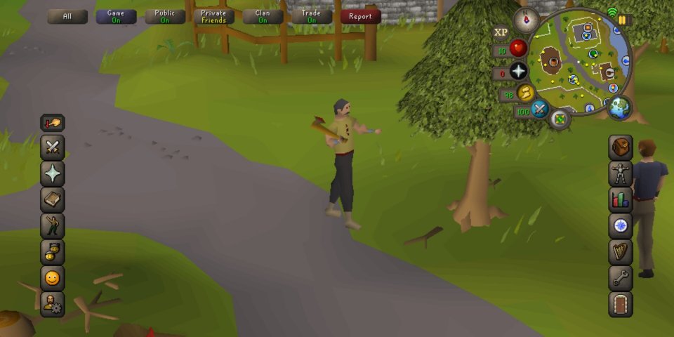 Egal, ob es auf dem PC oder dem Smartphone gespielt wird, egal ob es sich um Classic, Old School oder die moderne Version handelt – Runescape ist ein Phänomen. <br> &nbsp;