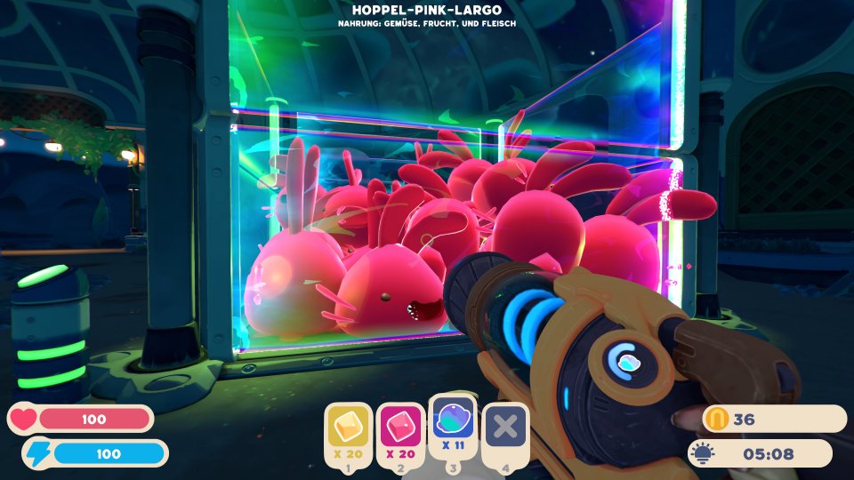 In ein Gehege solltet ihr nicht mehr als zehn Largo-Slimes packen. So könnt ihr mit einer Farm genau ein Gehege mit Slimes versorgen, ohne dass diese hungern müssen.