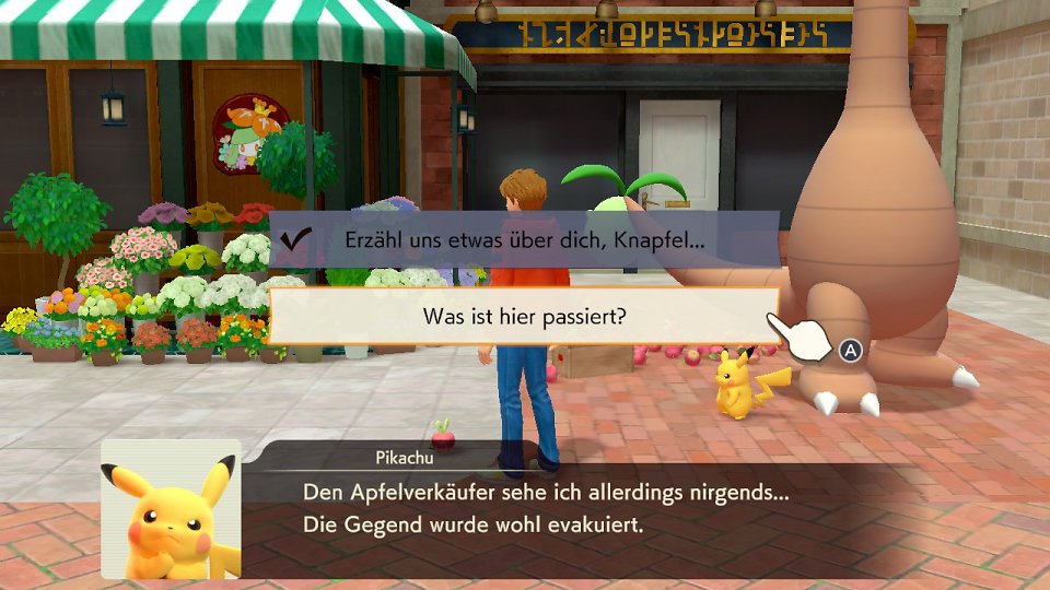 Befragung von Knapfel