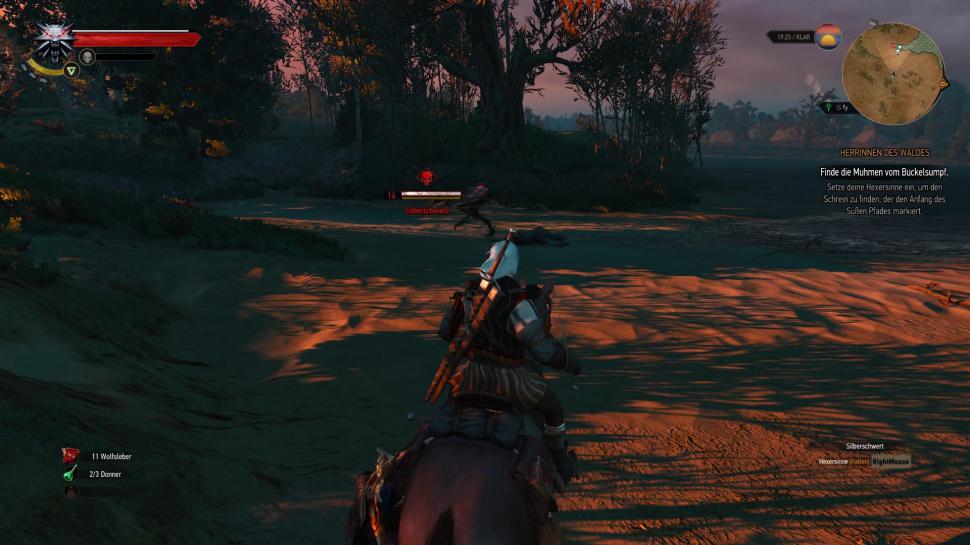 The Witcher 3 stürzt ab Freezes, Abstürze, Soundbugs
