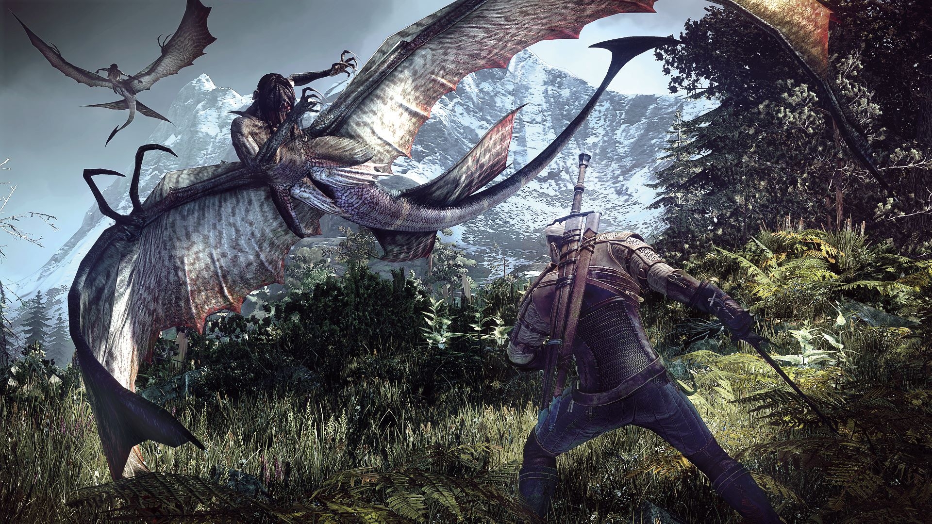 The_Witcher_3_Screenshots_Juni_2013_3-pcgh.jpg