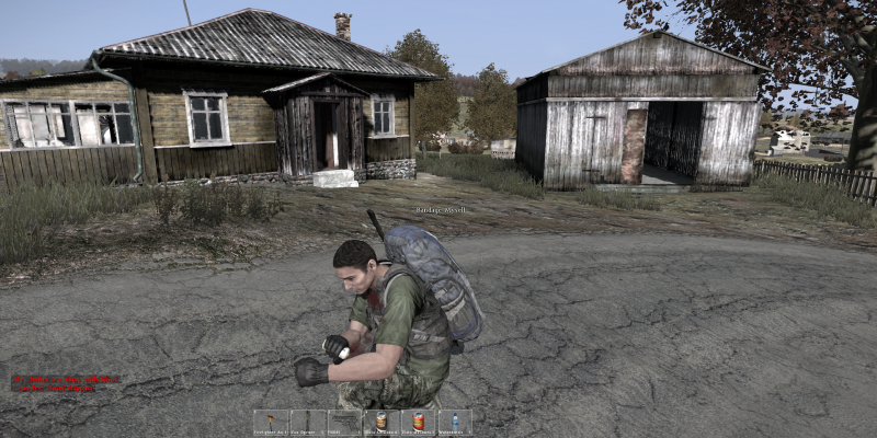 Guide und Tipps zu DayZ