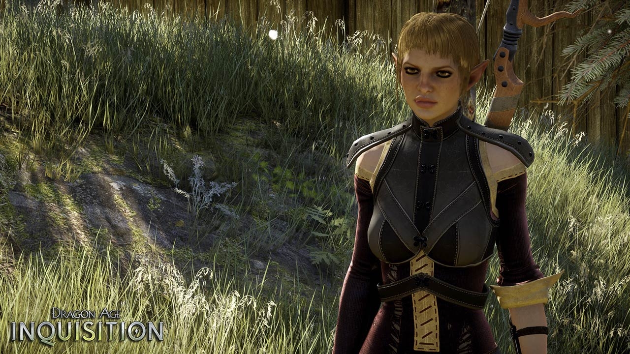 dragon_age_inquisition_e3_0003-pc-games.jpg