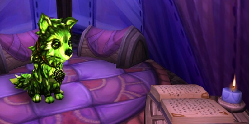 Ein Gamemaster von World of Warcraft hat einen Spieler sehr glücklich gemacht, indem er ihm ein Haustier schenkte.