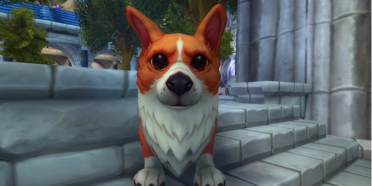 World of Warcraft: Corgi