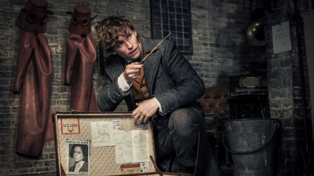 Harry Potter: Wie soll es mit dem Wizarding-World-Franchise weitergehen?