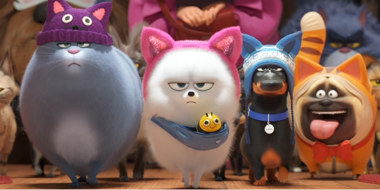 Szenenbild aus "Pets 2"