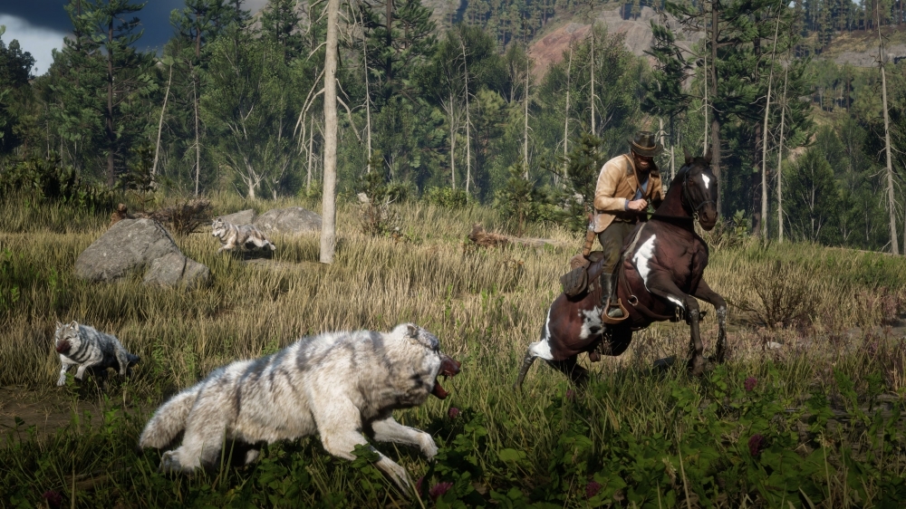 www.pcgames.de